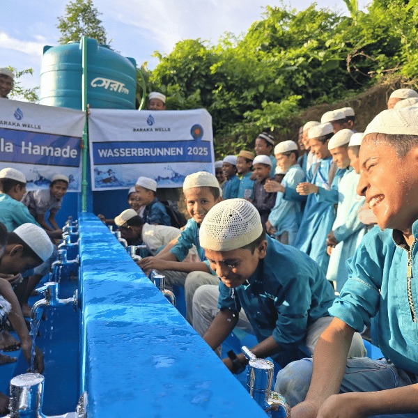 Elektrischen Großbrunnen in Bangladesch – mit Namensschild 1700.- – Bild 6